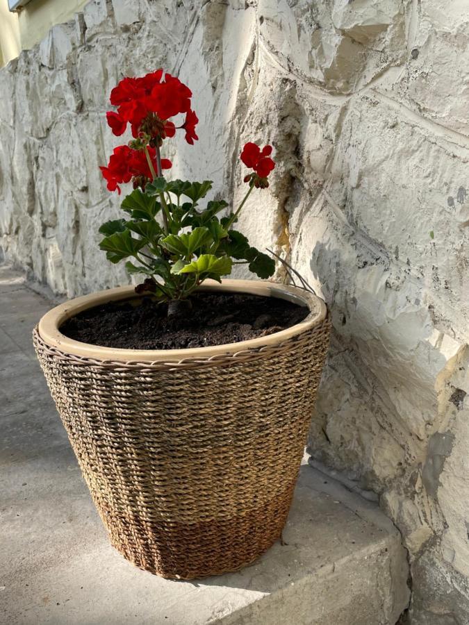 Boni Apartman Miskolc Kültér fotó
